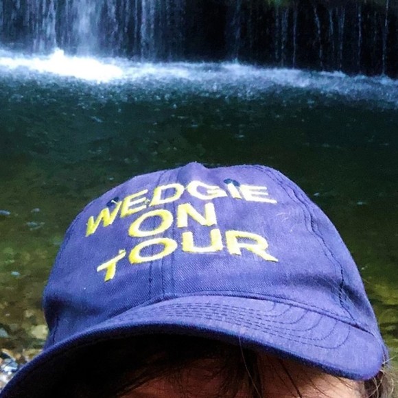 wedgieontour